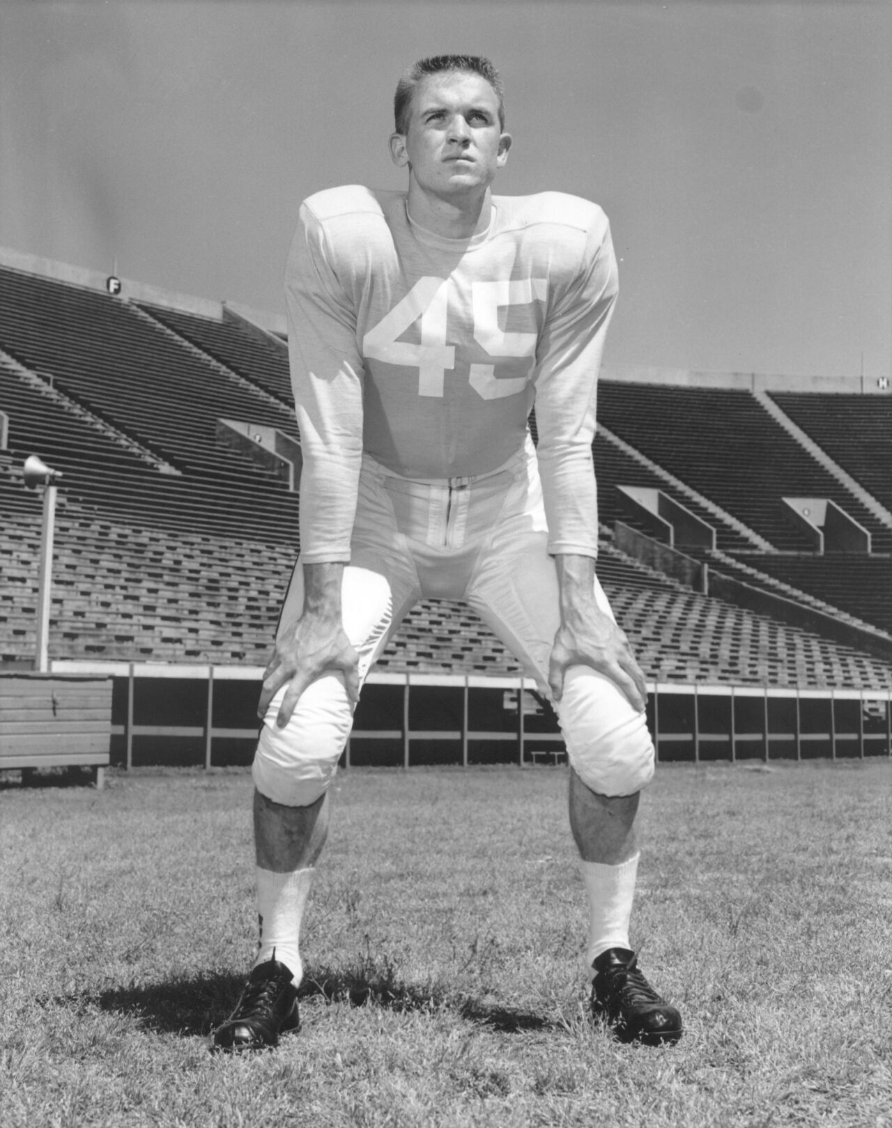 Johnny Majors